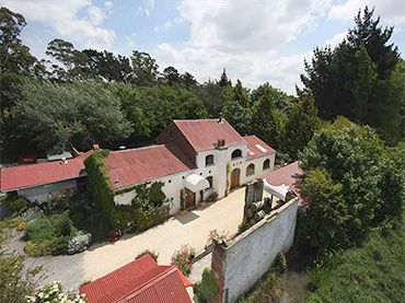 Trent's Estate Vineyard