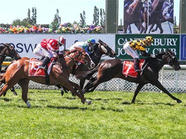 Riccarton Park Racecourse