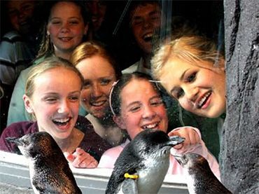 International Antarctic Centre